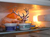 Takhle se fot jelen v lednice ...